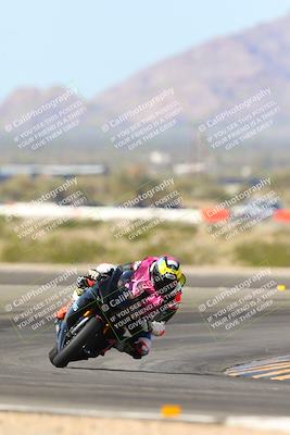 media/Mar-10-2024-SoCal Trackdays (Sun) [[6228d7c590]]/5-Turn 11 (11am)/